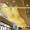 Hình Đèn sảnh nhà hàng, khách sạn DCV 99057 (sản xuất theo yêu cầu)